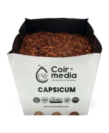 capsicum opentop Bag
